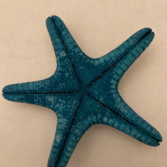 Blue Starfish Seashell - Picture 6 of 6